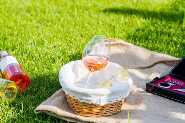 66327737_2427525700851604_3337133754417152000_n