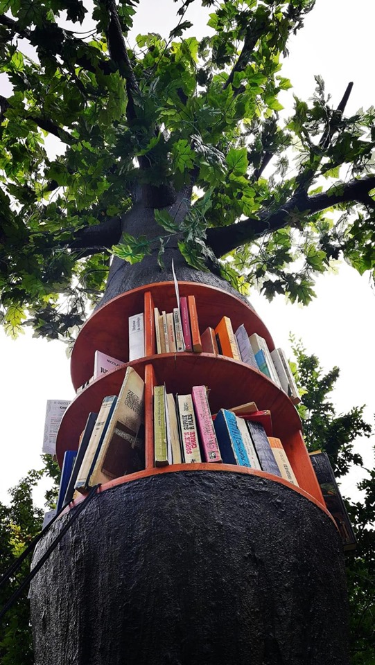 66513590_1292479014262411_1913885393292361728_n