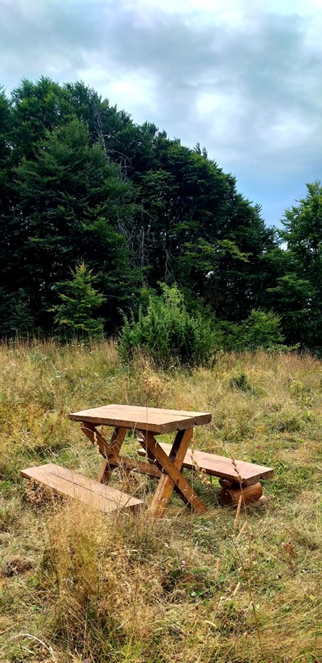 71227803_1598950356914507_1305797317864980480_n