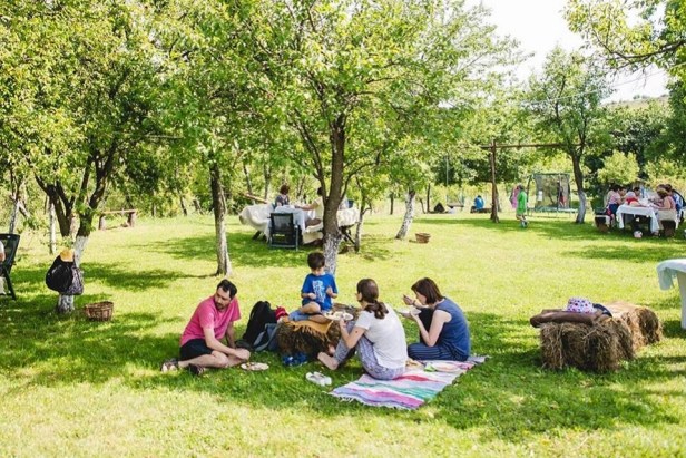 50023999_2825065167507265_210034324660027392_n