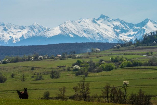 71864980_3516525975027844_2131538998525427712_n