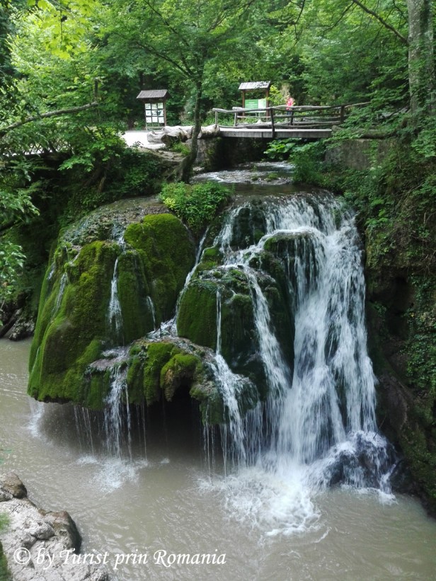 IMG_20190613_180239 copy