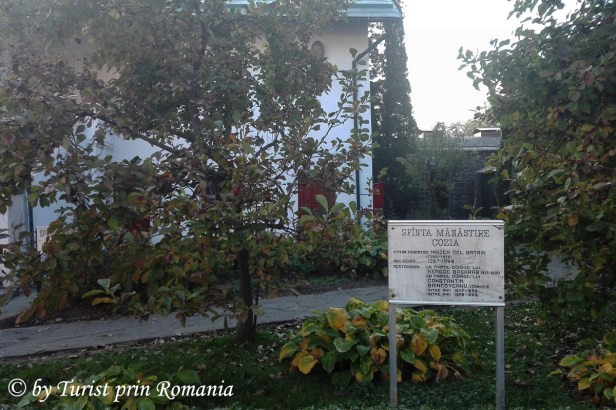 IMG_20181011_092354 copy