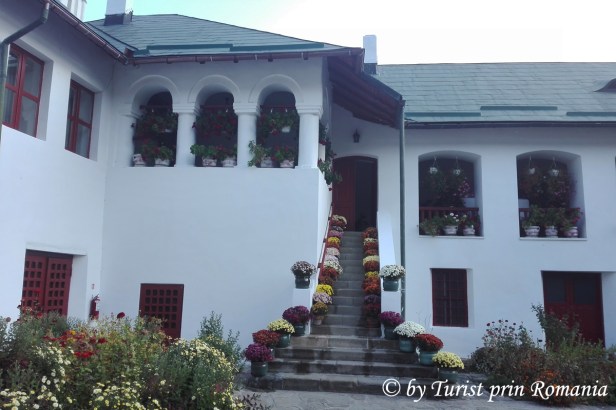 IMG_20181011_093315 copy