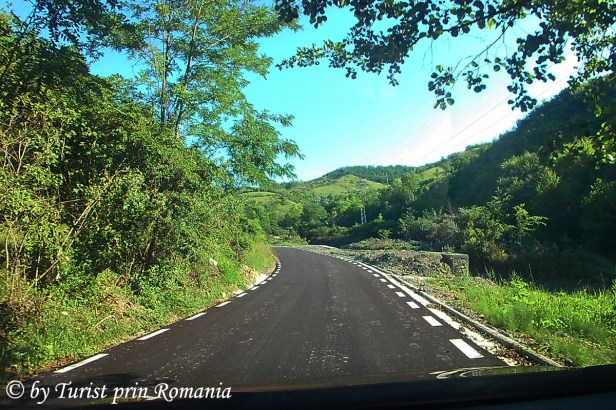 spre Lacul Zanelor_1 copy