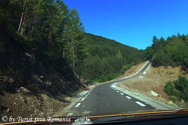 spre Lacul Zanelor_5 copy